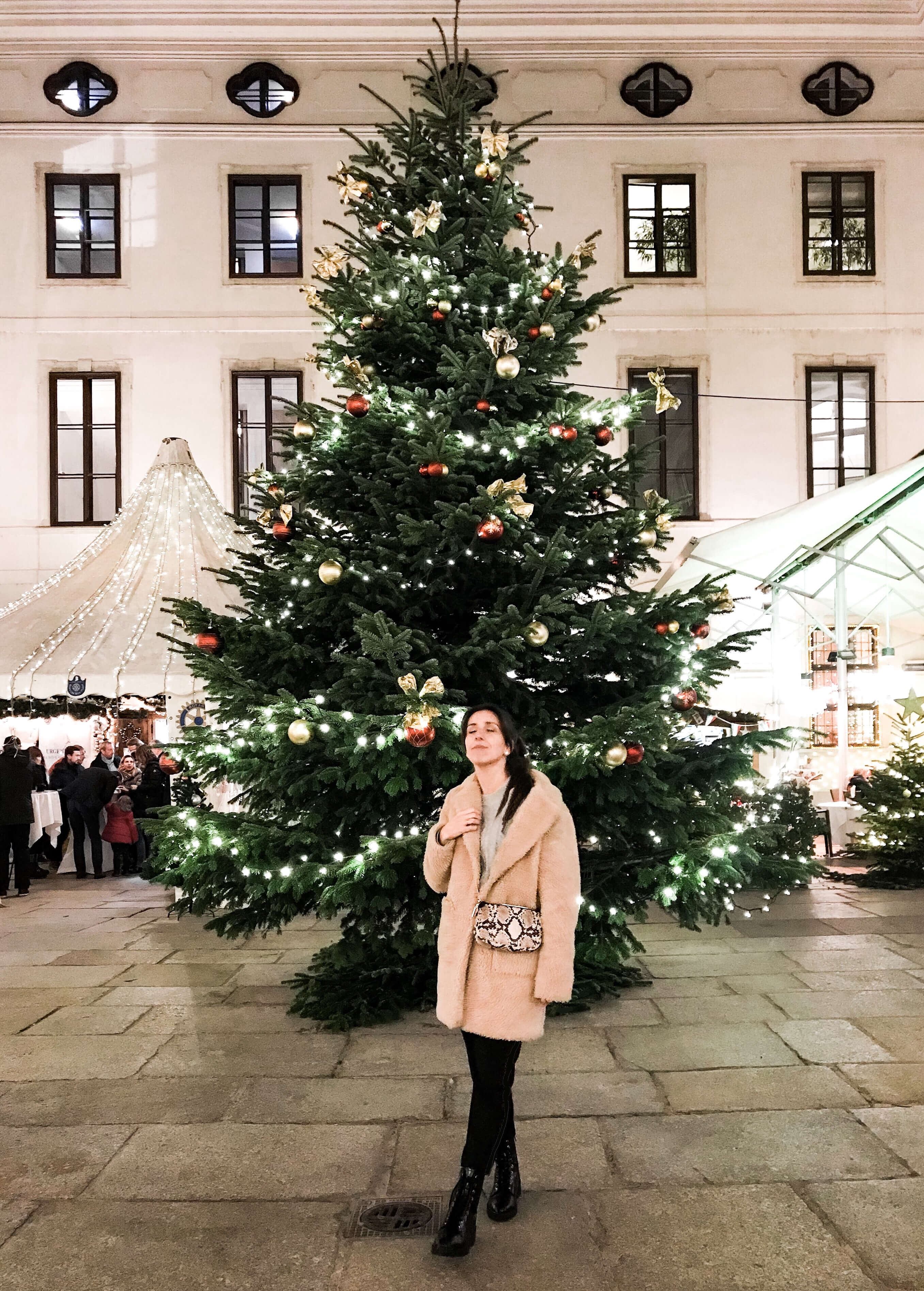 Vienna blog top Christmas markets guide