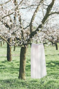 Coachella Springtime in Wachau