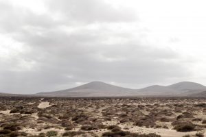 fuerteventura - canary Island