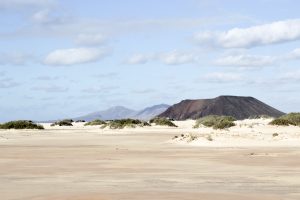 vienna lifestyle blog fuerteventura - canary Island