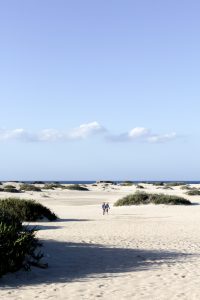 fuerteventura - canary Island