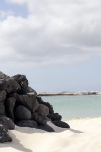 fuerteventura - canary Island