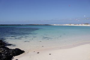 vienna lifestyle blog fuerteventura - canary Island