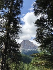 Best Dolomites trails with odlo vienna blog
